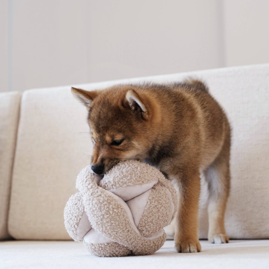 Monti // Enrichment Dog Toy // Snuffle Toy // 2 Color *Best* - Image 3