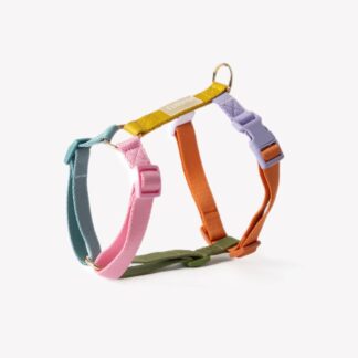 'rainbow - Strap Dog Harness'