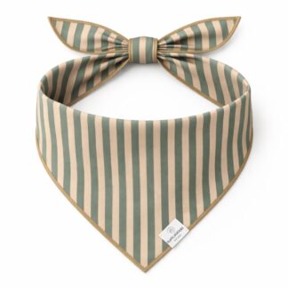 Sage Green Dog Bandana