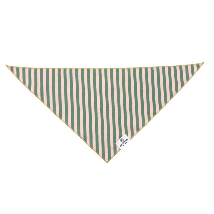 Sage Green Dog Bandana - Image 2